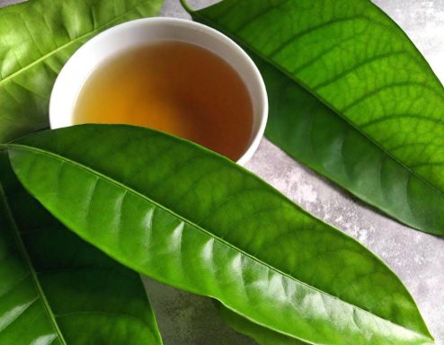 Soursop Leaf tea Soursop Leaf tea
